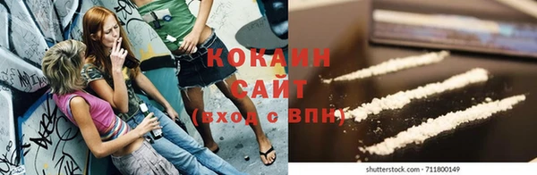 гидропоника Богородск