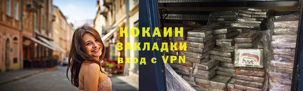 прущие грибы Богданович