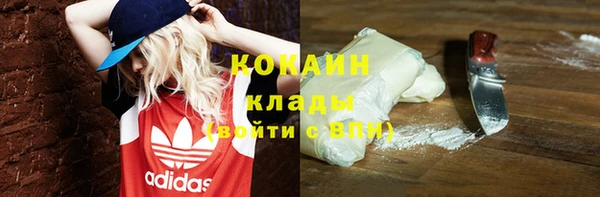 прущие грибы Богданович