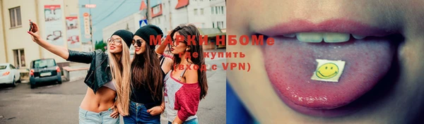 прущие грибы Богданович