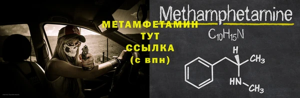 прущие грибы Богданович