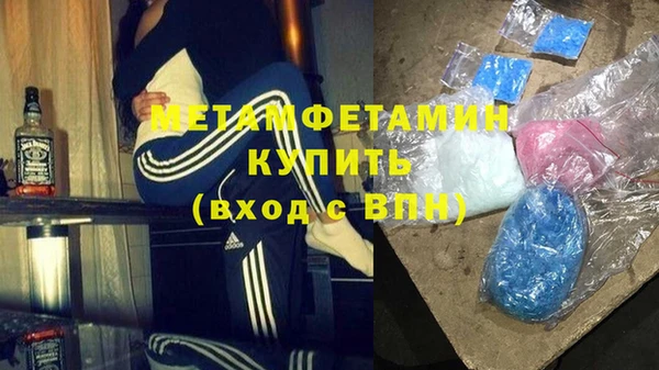 прущие грибы Богданович