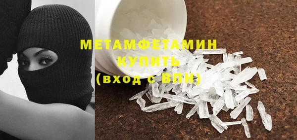 прущие грибы Богданович
