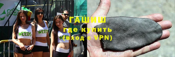 прущие грибы Богданович