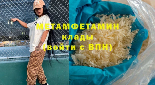 прущие грибы Богданович