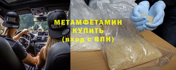 прущие грибы Богданович