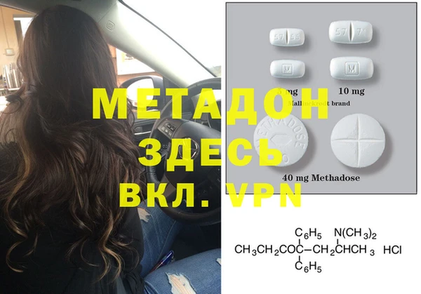 прущие грибы Богданович