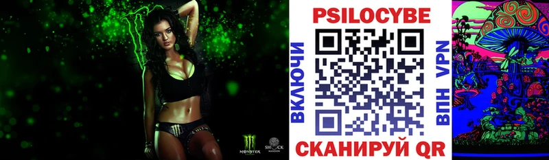закладка  Кольчугино  Галлюциногенные грибы Cubensis 